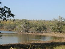 Tadoba Lake